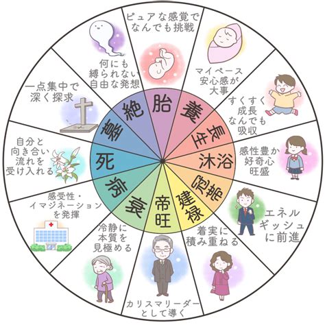 四長生|四柱推命の十二運星「長生」の意味とは？性格・適職・恋愛を解説